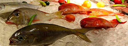 Charlotte GeroudeT Dt.P. voyage Philippines 2011